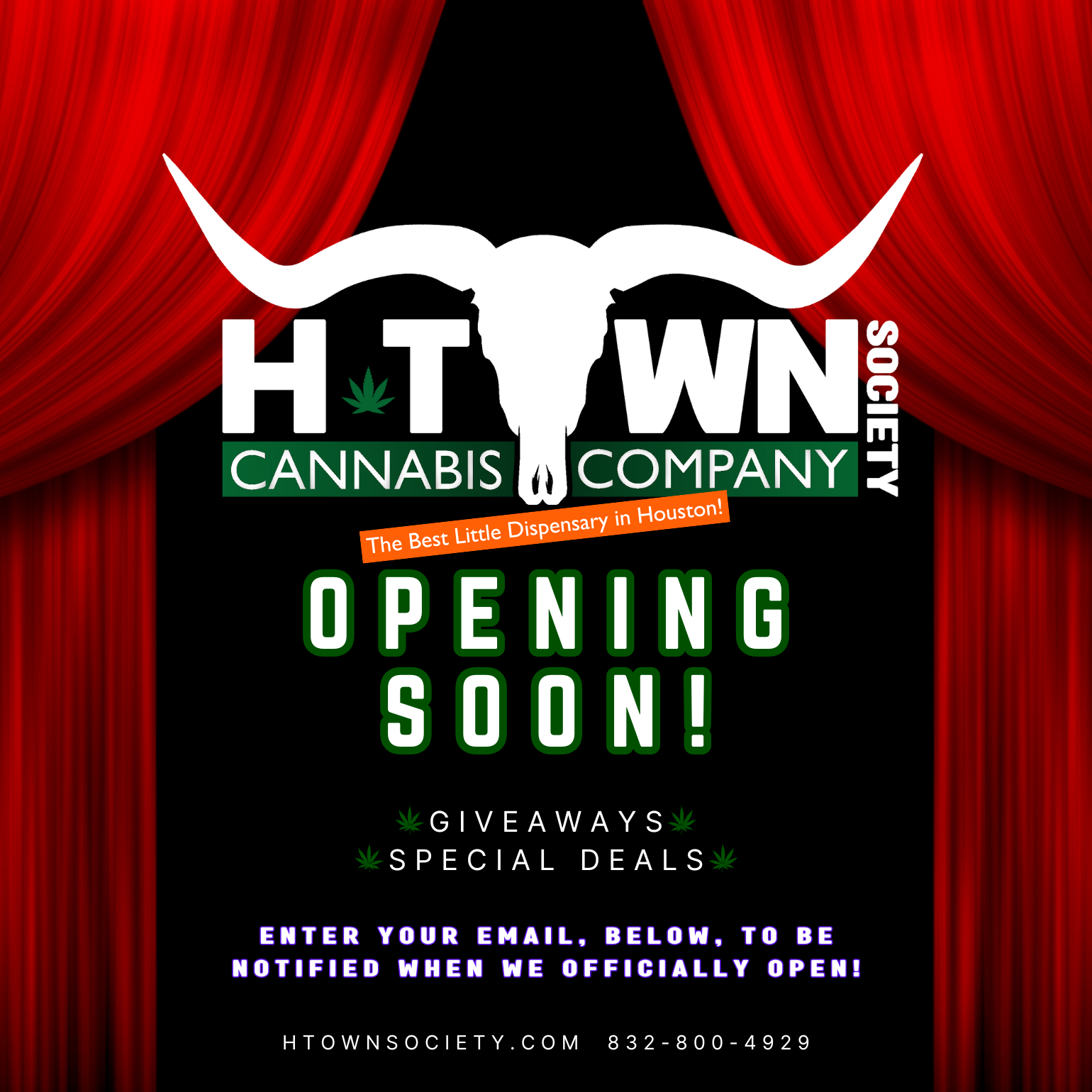 H-Town Society Cannabis Company white longhorn logo with detail